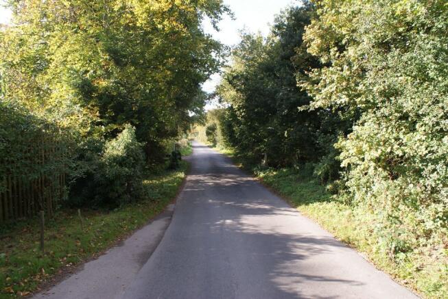 Photo 26