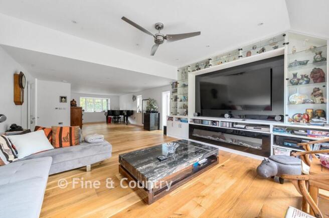 Entertainment Room