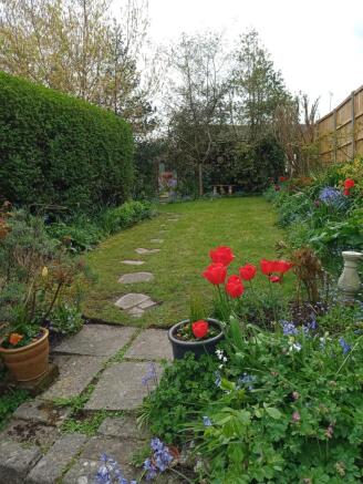 Photo 15