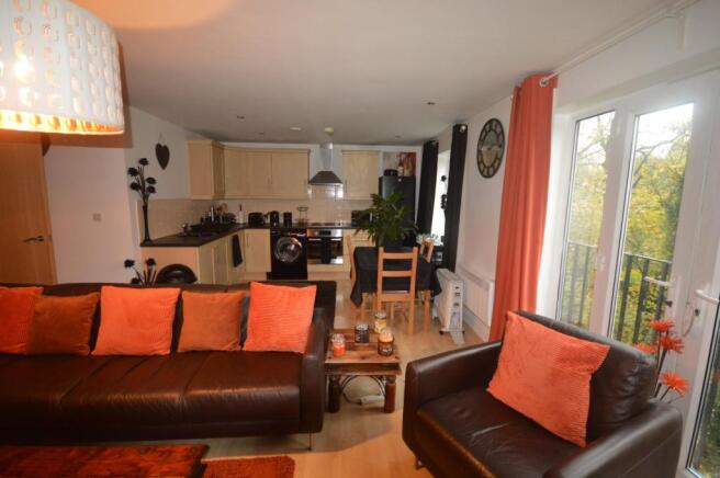 Open Plan