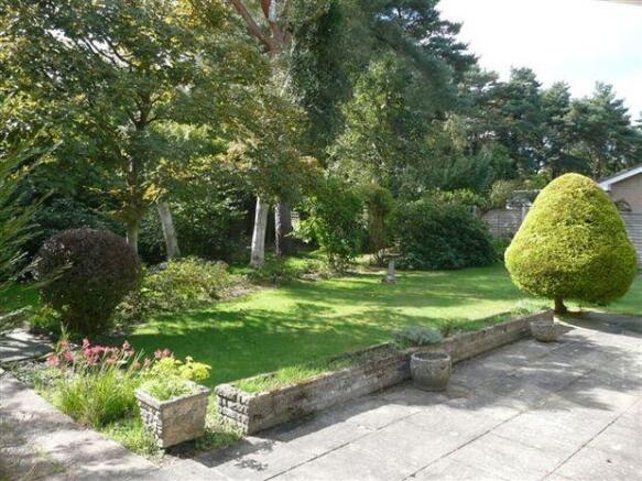 garden