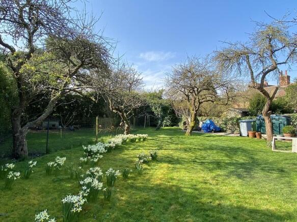 Rear Garden 4