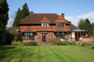 Rear with lawn