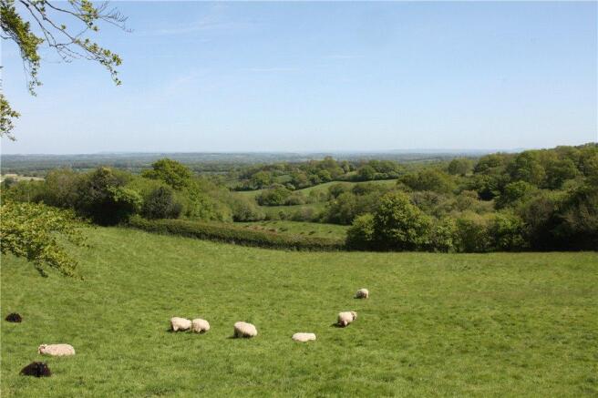 Front Paddock