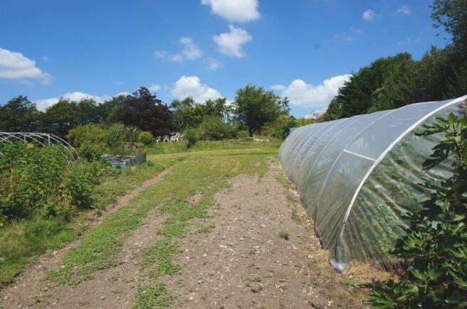polytunnels