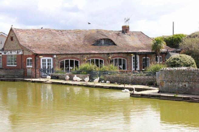 Duck Pond