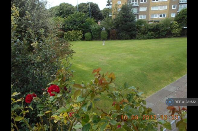 Communal Garden