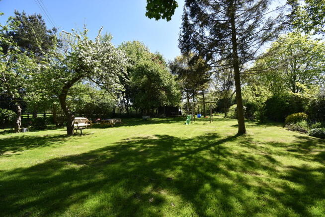 Photo 29