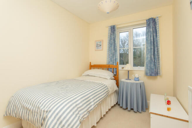Picture 7