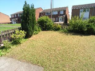 Front garden