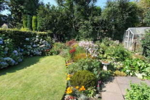 Photo 4