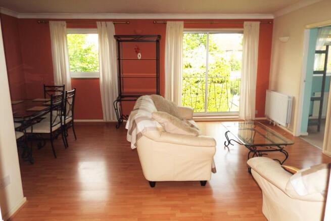 Living / Dining Room