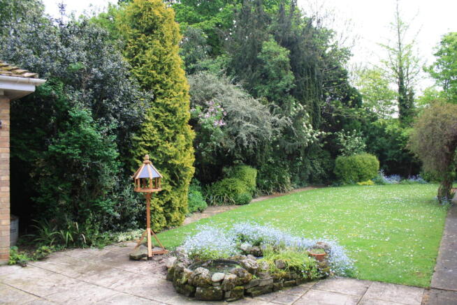 Photo 12