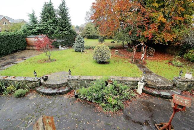 Garden 2.JPG