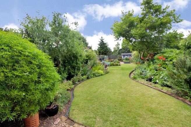 Garden at Back