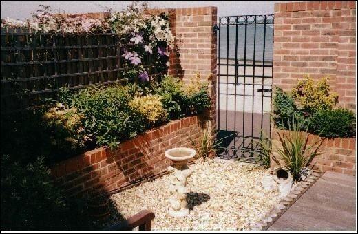 Back Garden