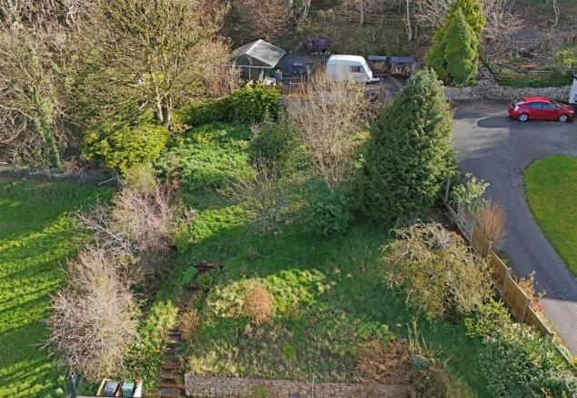 Garden.JPG