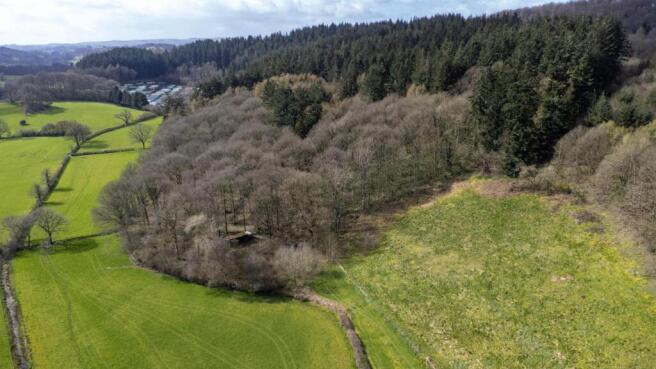 DJI_0430.jpg_compressed.JPEG
