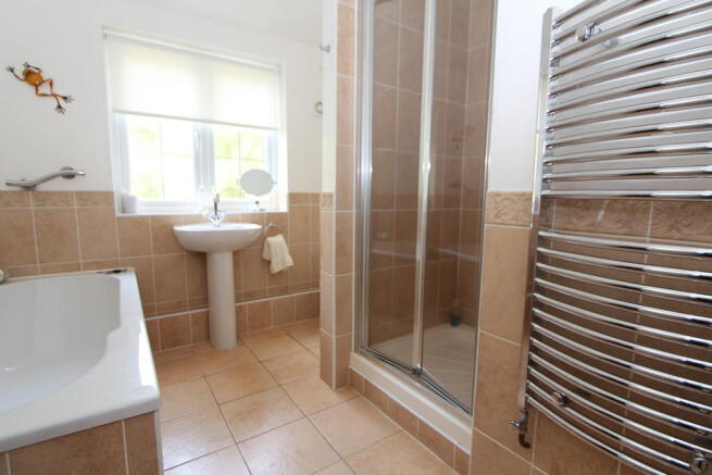 Photo 11
