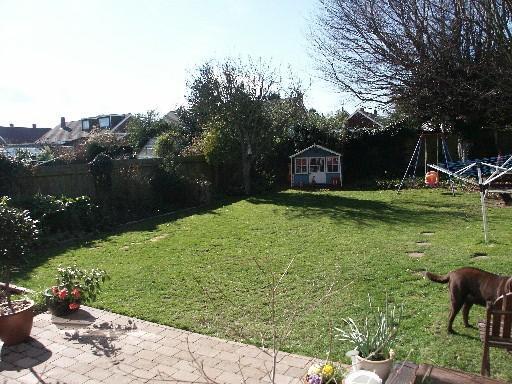 The Rear Garden