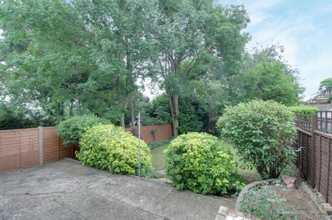 Back Garden