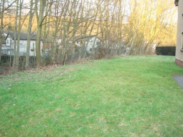 Back Garden