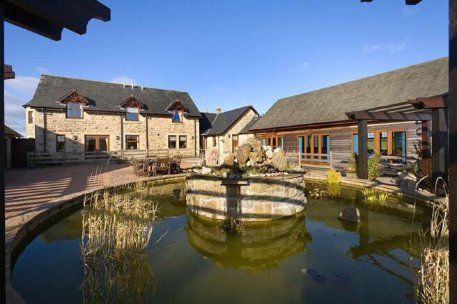 Rear Pond