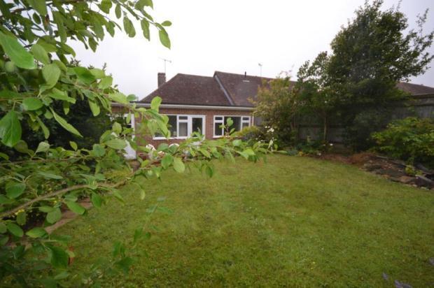 Rear View From Gardn
