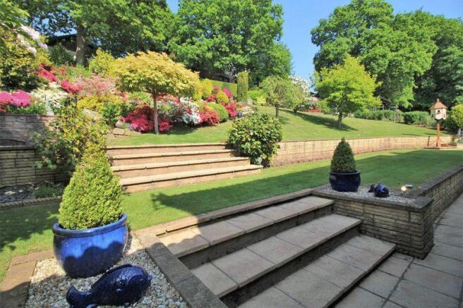 Rear Gardens 