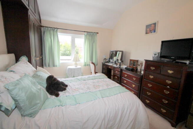 Photo 15