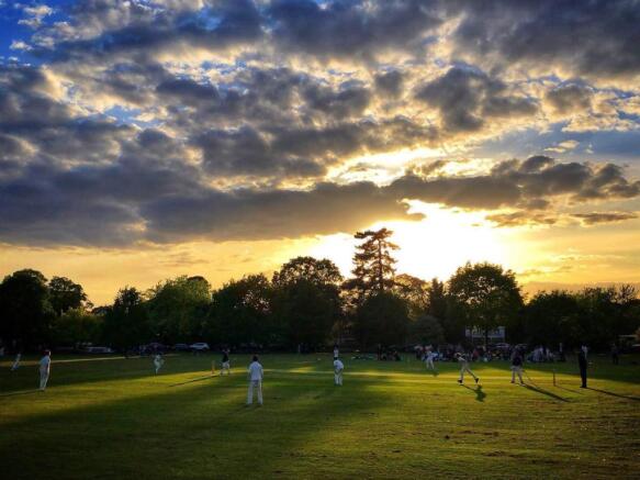 sunset cricket giggs hill.jpg