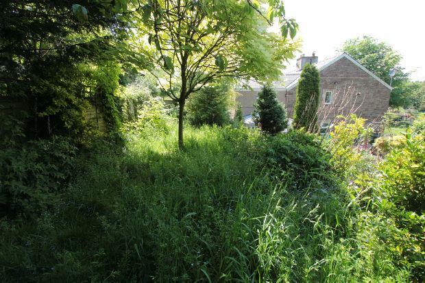 Upper Garden
