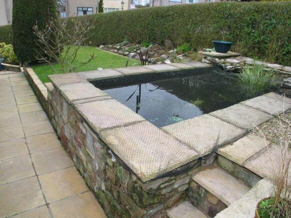 Koi Pond