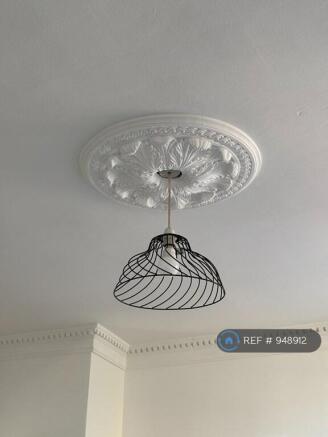 Characterful High Ceiling & Decorative Rose