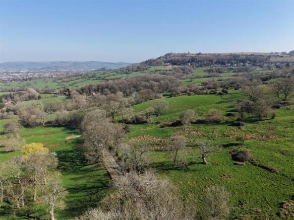 DJI_20260319115311_0096_D.JPG