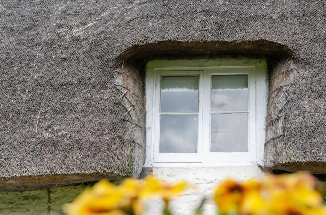 Lifestyle Window