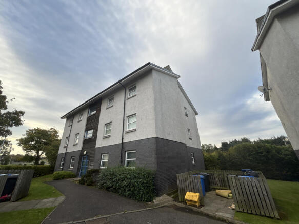 1.JPG