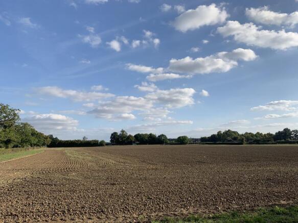 Field View