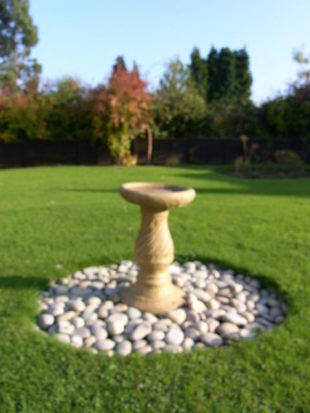 In the Round