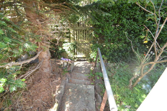 Photo 41