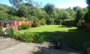 Rear Gardens