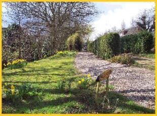 Rear garden
