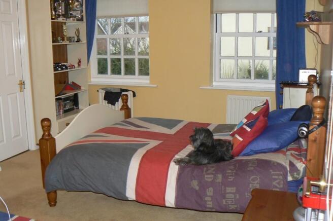 Photo 7