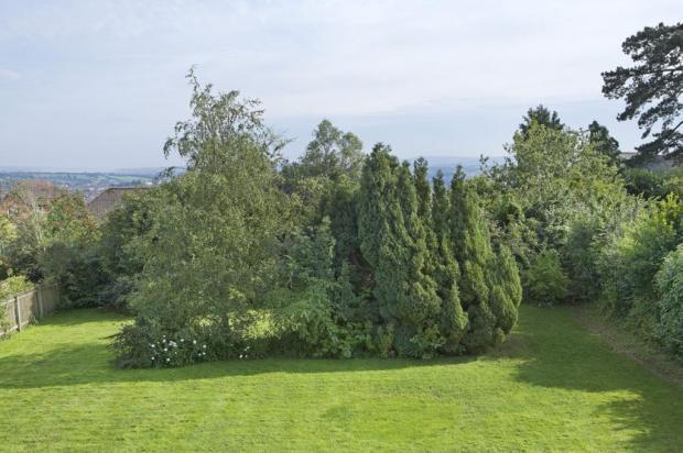 Garden + View