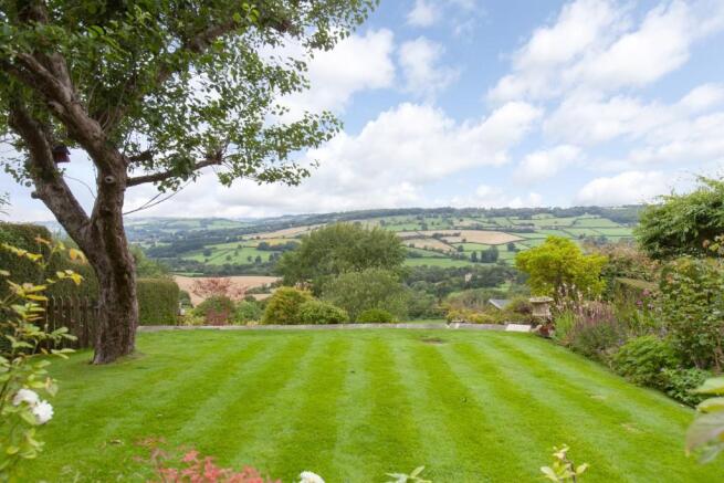 Garden and view