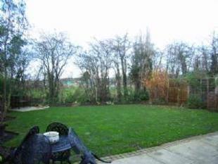 Rear garden: