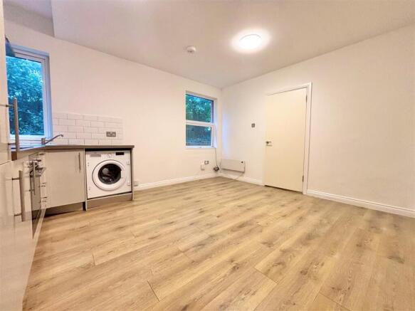 Kitchen/Living/Dining Room