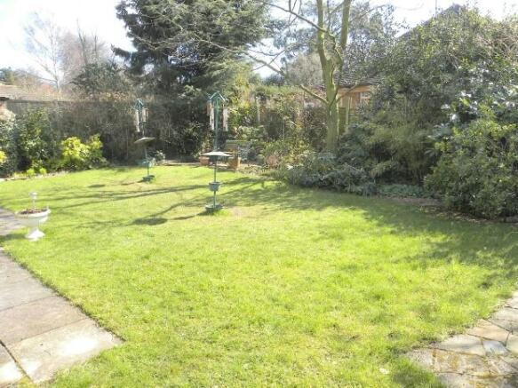 Garden Photo
