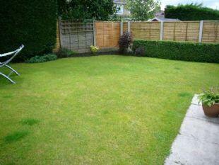REAR GARDEN 2