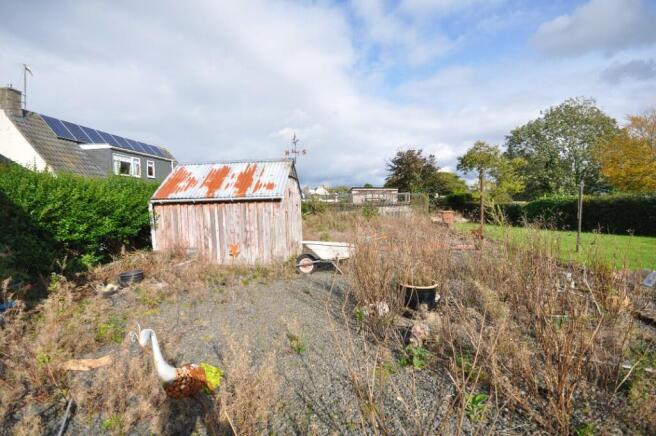 Back Garden